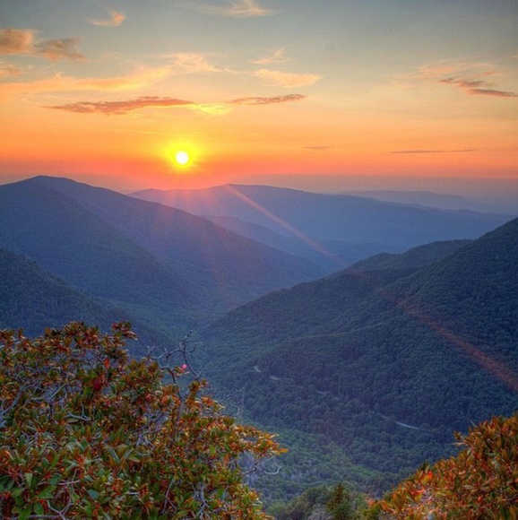 Meet your Posher, Stephanie - Picture 4 of 10